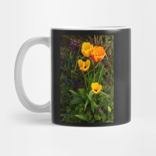 Tulips Mug